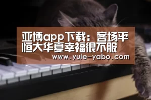 亚博app下载